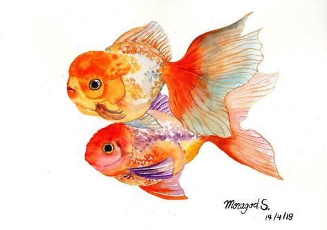 Gold Fish Art, Koi Fishes, Goldfish Art, Watercolor Fish, Fish Illustration, Fish Drawings, Animals Art, Gold Fish, Resin Painting