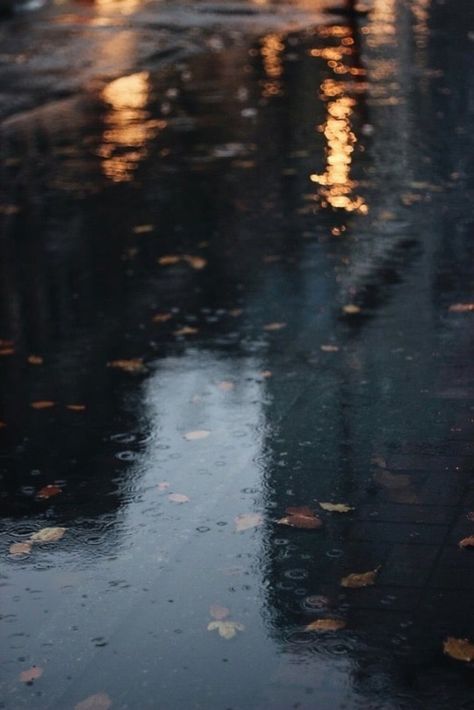 Rainy Mood, Cozy Rainy Day, Rain Pictures, Rain Aesthetic, Rainy Day Aesthetic, Rain Wallpapers, I Love Rain, Morning Rain, Autumn Rain