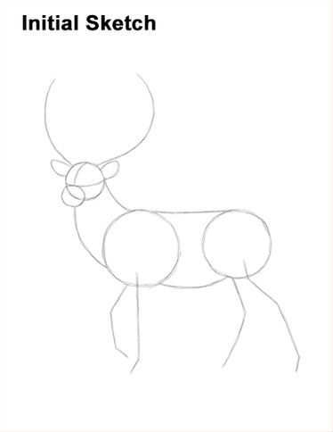 How To Draw A Deer, Deer Drawing Sketches, Stag Drawing, Deer Video, Deer Drawing Easy, Draw A Deer, Deer Sketch, Deer Drawing, Drawing Instructions