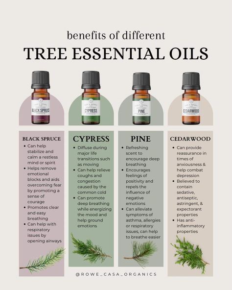 Goat Milk Recipes, Cypress Pine, Essential Oil Education, Cedarwood Essential Oil, Tea Tree Essential Oil, Milk Recipes, Overcoming Fear, Diffuser Blends, Cheat Sheet