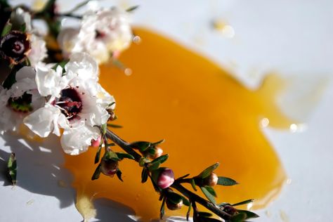 However, there are lots of differences, too. So, how does Manuka honey differ from pure Manuka oil, and is the oil a better choice? Lung Cleanse, Manuka Oil, Athletes Foot, Tea Tree Essential Oil, Manuka Honey, Vegan Lifestyle, Free Wordpress Themes, Fitness Beauty, Superfoods