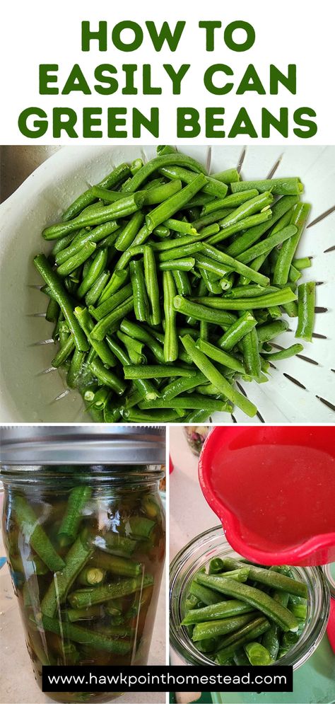 Green beans are one of the best things to come out of the garden in the summer. You can’t beat fresh green beans! Especially cooked in a pot with some ham and potatoes! Canning your fresh green beans to have all winter long is one of the best things about canning. So much better than canned green beans from the grocery store and much healthier. You know exactly what is going into your jar of green beans that you feed your family. Green Beans Canning, Green Bean Plant, Homemade Chili Beans, Peach Pepper Jelly, Bourbon Bbq Sauce Recipe, Canning Green Beans, Ham And Potatoes, Canned Green Beans, Garden Canning