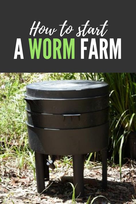 Amish Hacks, Worm Farm Diy, Garden Knowledge, Flower Arrangements Ideas, Duck Pen, Worm Beds, Worm Farming, Fishing Worms, Farm Hacks