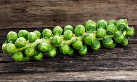 Brussel Sprout Stalk, Preparing Brussel Sprouts, Balsamic Brussel Sprouts, Cooking Brussel Sprouts, Roasted Sprouts, Veggie Casserole, Sushi Night, Backyard Cookout, Brussels Sprouts Recipe