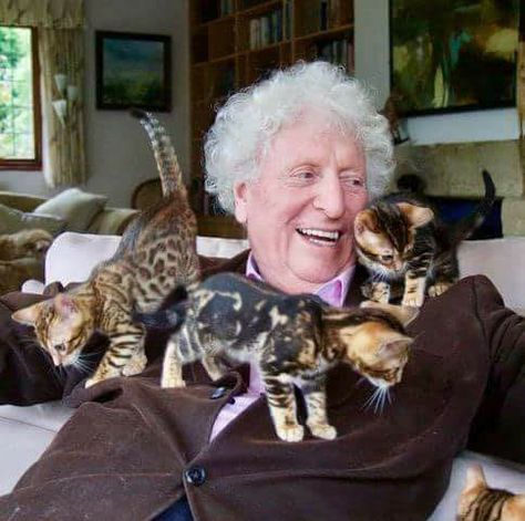 Tom Baker, who played The Fourth Doctor, with four lovely companions. - Tap the link now to see all of our cool cat collections! Tom Baker, 4th Doctor, Classic Doctor Who, Bengal Kitten, Good Doctor, Cat People, Bengal Cat, Cat Health, Cool Cats