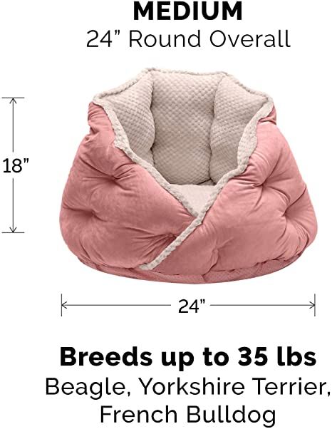 Pet Beds For Dogs, Miniature Dog Breeds, Durable Dog Bed, Bed For Dogs, Dog Pet Beds, Dachshund Love, Puppy Breeds, Cat Pillow, Pet Safety