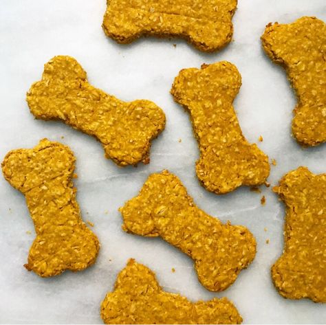 Cheese Dog Biscuits, Pumpkin Dog Biscuits, Homemade Dog Cookies, Pumpkin Oats, Dog Biscuit Recipes, Peanut Butter Dog Treats, Cheese Dog, Pumpkin Dog Treats, Puppy Treats