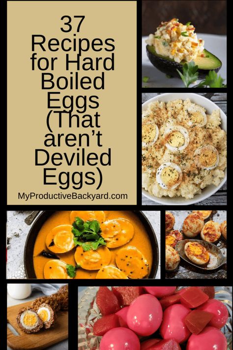 Here we have 37 Recipes for Hard Boiled Eggs; and none are Deviled! Many kinds of salads, curried, scotch, pickled and even pancakes and cookies! Recipes For Boiled Eggs, Hard Boiled Egg Meals, Hard Boiled Egg Recipes Breakfast, Creative Egg Recipes, Leftover Hard Boiled Eggs, Benefits Of Eating Eggs, Hot Chicken Salads, Egg Nutrition Facts, Boiled Egg Recipes