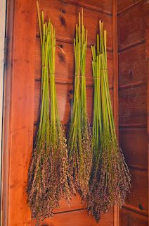 Broom Corn Decorations, Making Brooms, Fall Broom, Vintage Skills, Broom Making, Preserving Flowers, Corn Husk Crafts, Survival Prep, Handmade Broom