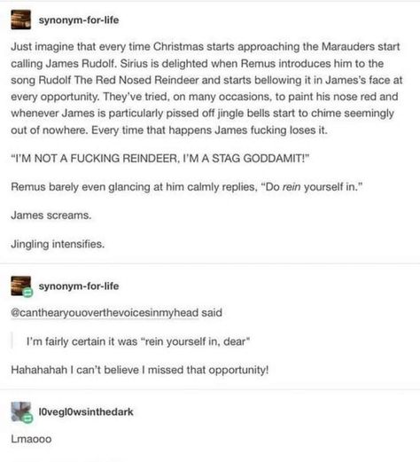 Marauders Headcanons Funny, Funny Marauders Headcanons, Marauders Headcanons Hilarious, Mauraders Headcannons, Marauders Funny, Marauders Headcanons, Potter Quotes, Harry Potter Puns, Harry Potter Headcannons