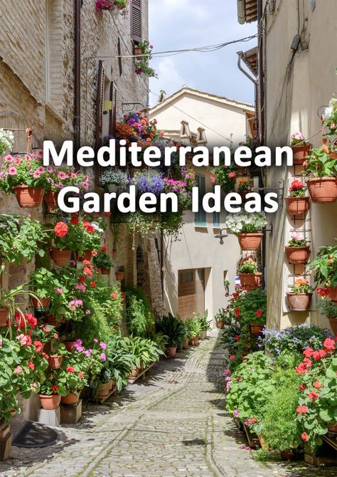 Mediterranean gardens are a feast for the senses with their visual textures and architectural foliage. If you want some extra exciting Mediterranean garden ideas look no further! I have listed and summarised 20 great Mediterranean ideas here. Italian Courtyards Tuscan Style, Mediterranean Garden Room, Terraced Mediterranean Garden, Mediterranean Patio Decor, Mykonos Garden Ideas, Mexican Garden Design, Mediteranian Garden Ideas, Mediteranean Houses Garden, Small Meditteranean Gardens