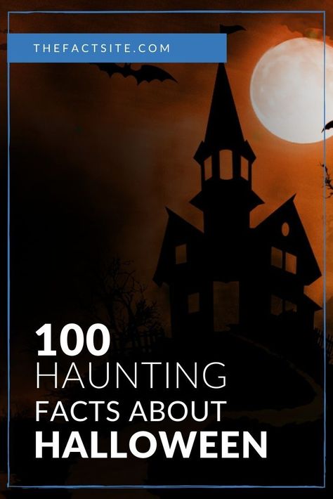 13 Nights Of Halloween, Spooky Facts Scary, Hallowen Idea, Fun Facts About Halloween, History Of Halloween For Kids, Halloween Origin, Halloween Facts History, Creepy Facts About Ghosts, Witches Facts