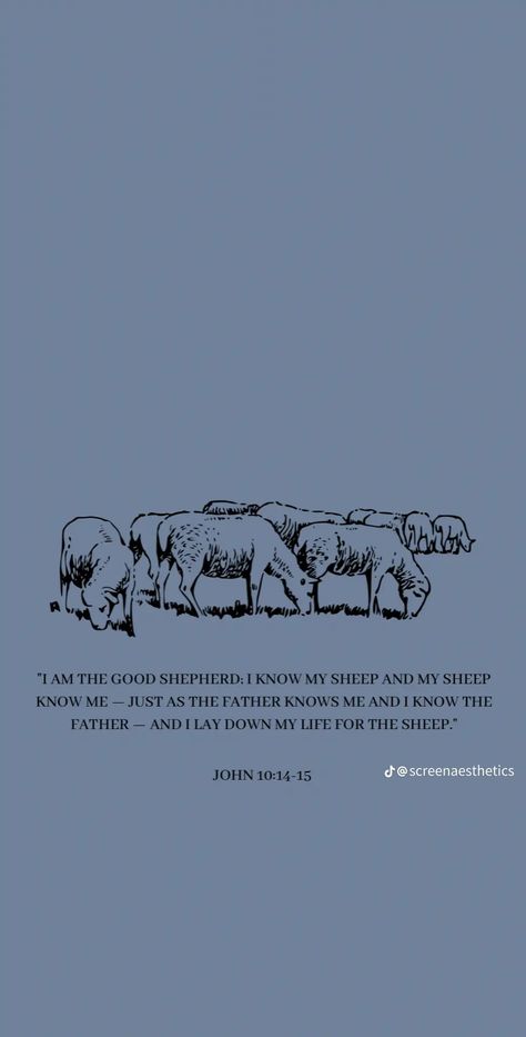 John 10:10 Wallpaper, I Am The Good Shepherd, Bible Wallpaper, Mission Trips, John 10 10, Good Shepherd, Song Of Solomon, Thank You Jesus, The Good Shepherd