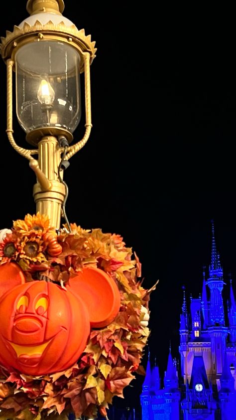 Walt Disney World Magic Kingdom Park Pumpkin Halloween Decor Cinderella Castle Night Projection Magical 2023 Spooky Phone Wallpaper Background Spooky Phone Wallpaper, Castle Night, Pumpkin Halloween Decor, Castle Halloween, Disney World Castle, Disney World Halloween, Halloween Disney, Disney World Magic Kingdom, Cinderella Castle