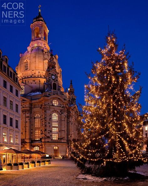 GERmany/Saxony, Dresden Christmas tree ideas #christmastreeideas #christmastree #christmaslights #christmastime #christmaspirit #christmasmagic Christmas Markets, Christmas Tree Ideas, Saxony, Travel Images, Tree Ideas, Picture Library, Photo Library, Christmas Images, Christmas Market