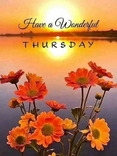 Have A Wonderful Thursday, Happy Thursday Pictures, Thursday Morning Quotes, Wonderful Thursday, Happy Thursday Morning, Good Morning Thursday Images, Happy Thursday Images, Thursday Greetings, Village Market