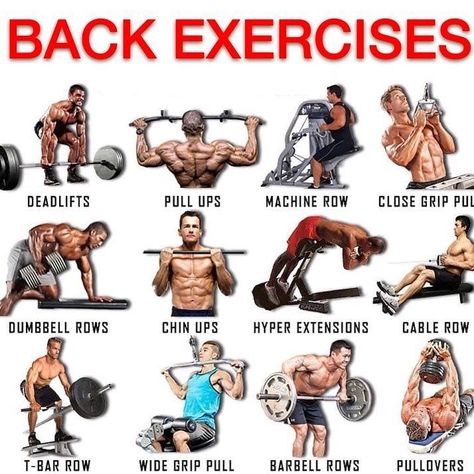 BEST BACK EXERCISES . . 3 reasons why you should workout your back . Strong lats give your... Exercises For Back, Good Back Workouts, Aesthetic Fitness, Gym Antrenmanları, Fails Funny, Compound Exercises, Gym Tips, Workout Inspiration, Weight Training Workouts