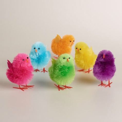 Rainbow Chicken, Rainbow Animals, Chicken Coloring, Rainbow Things, Rainbow Stuff, Rainbow Pictures, Beautiful Chickens, Chicken Coop Designs, Colours Of The Rainbow