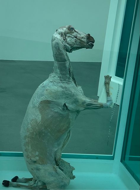 Sacrificial Lamb Aesthetic, Damien Aesthetic, Damien Hirst Art, Sacrificial Lamb, Surreal Collage, Damien Hirst, Drawing Style, Old Paintings, Taxidermy