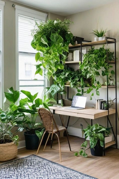 11 Best Indoor Plants for Feng Shui Feng Shui Layout, Feng Shui Home Office, Bamboo Image, Feng Shui Garden, Lily Images, Orchid Images, Feng Shui Principles, Hanging Plants Indoor, Areca Palm