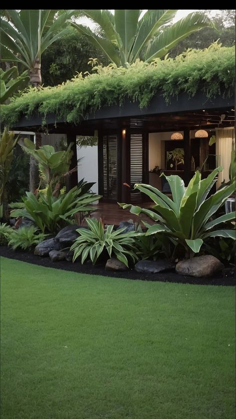 Make Waves with These 15 Tropical Backyard Landscaping Ideas for All Sizes - pulsepathlife.com Plumeria Tree Landscape Gardens, Palm Tree Landscape Ideas Backyards, Miami Landscaping Front Yards, Modern Tropical Backyard, Palm Tree Garden Ideas, Backyard Modern Design, Palm Landscaping, Modern Tropical Garden, Backyard Garden Inspiration