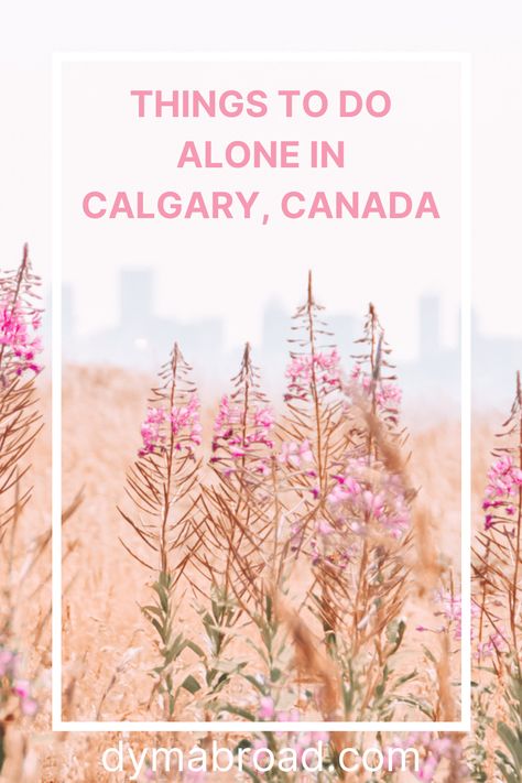 There are a lot of amazing things to do alone in Calgary. So if you're wondering if solo travel in Calgary is nice, it definitely is! #calgary #thingstodoalone #soloactivities #solotravel #canada Moving To Calgary, Things To Do In Calgary Canada, Calgary Aesthetic, Things To Do Alone, Travel Ads, Calgary Canada, Island Park, Urban Park, Travel Spots