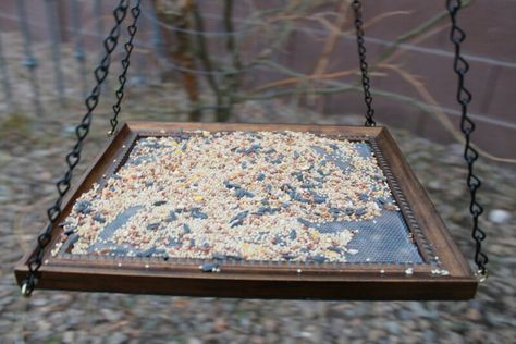 Awesome idea Platform Bird Feeder, Bird Feeder Plans, Squirrel Proof Bird Feeders, Homemade Bird Feeders, Tea Cup Bird Feeder, Old Picture Frames, Paper Wall Hanging, Diy Bird Feeder, Diy Birds