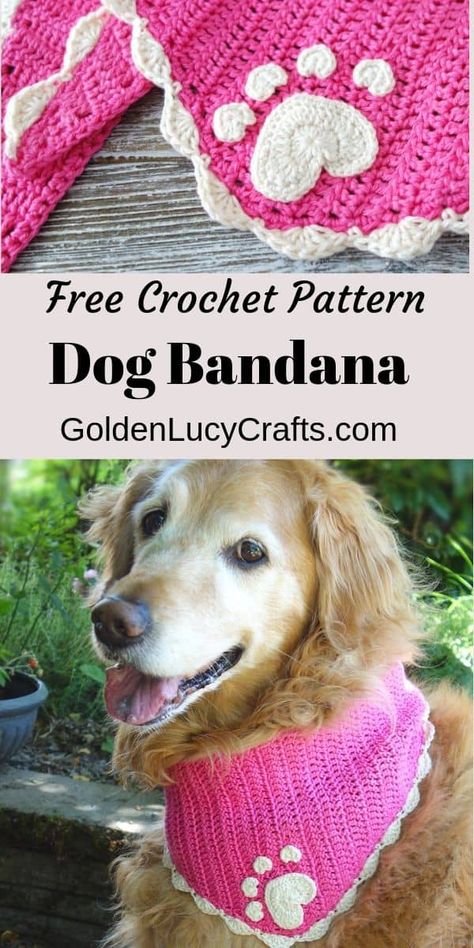 Crochet Dog Bandana Pattern, Crochet for Pets – GoldenLucyCrafts Crochet Dog Bandana Pattern, Dog Bandanas Pattern Over The Collar, Crochet For Pets, Crochet Dog Bandana, Diy Dog Bandana, Bandana Crochet, Diy Dream Catcher, Dog Bandana Pattern, Crochet Dog Clothes