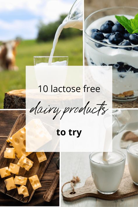 10 Lactose Free Dairy Products To Try Lactose Free Dairy Products, Love Dairy, Lactose Free Recipes, Lactose Free Milk, Digestion Process, Lactose Intolerant, Dairy Products, No Dairy Recipes, Rich In Protein