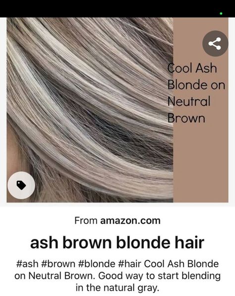 Going From Brown To Blonde To Cover Gray, Ash Blonde Grey Highlights, Blonde Highlights On Dark Hair To Cover Gray, Dark Blonde Hair With Grey Highlights, Silver White Highlights On Brown Hair, Ash Highlights In Brown Hair, Hair Color Ideas For Graying Hair Brunettes, From Brassy To Icy Blonde, Silver Ash Blonde Highlights