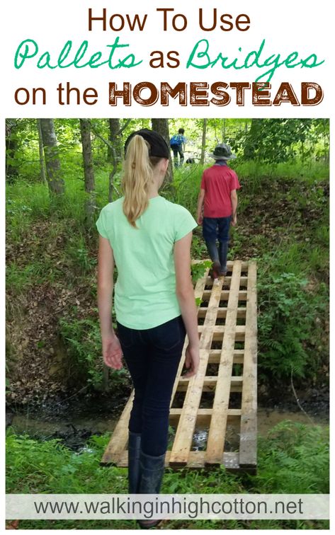 Creek Bridge Diy, Pallet Bridge Diy, Diy Bridge Over Creek, Pallet Bridge, Backyard Bridges, Homestead Diy, Outdoor Bridges, Bridge Ideas, Walking Path