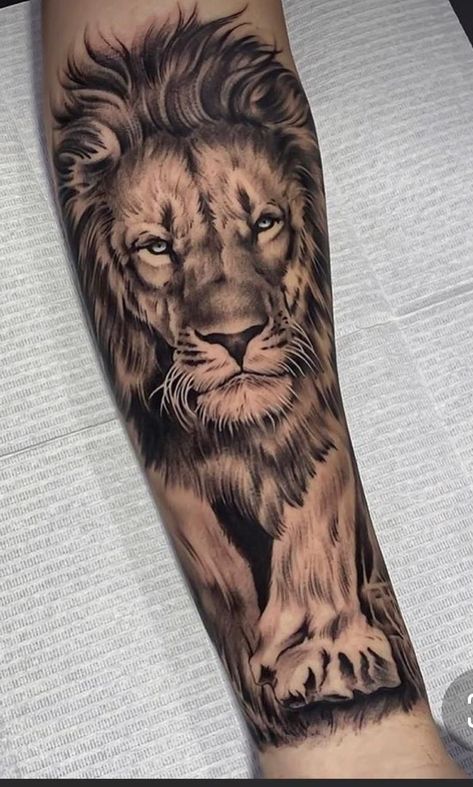 Leo Lion Tattoos, Lion Shoulder Tattoo, Lion Forearm Tattoos, Lioness Tattoo, Lion Tattoo Sleeves, Mens Lion Tattoo, Lion Head Tattoos, Leo Tattoos, Lion Tattoo Design