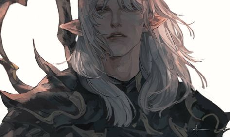 Ffxiv estinien Final Fantasy Artwork, Final Fantasy Art, Fantasy Collection, Final Fantasy Xiv, Arte Fantasy, Fantasy Inspiration, Male Art, Dnd Characters, Fantasy Artwork