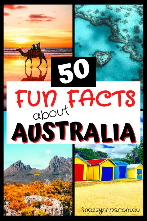 Fun and fascinating facts about Australia that you probably didn't know, some of which will surprise you and may inspire you to visit. Australia Fun Facts, Facts About Australia, Australia For Kids, Australia Facts, Australia Party, Nails Shapes, Core Knowledge, Study In Australia, Australia Itinerary