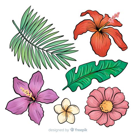 Tropical Plant Drawing Images - Free Download on Freepik Tropical Plants Drawing, Tropical Flowers Drawing, Tropical Leaves Drawing, Easy Flower Drawings, Artwork Ideas, Flower Collection, Leaf Drawing, Plant Drawing, Drawing Images