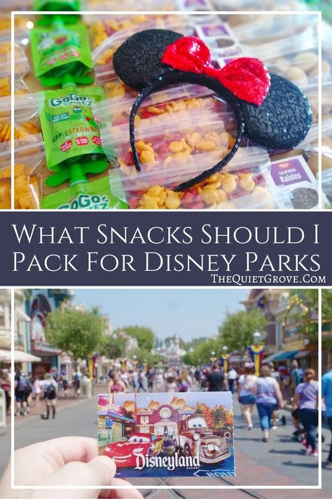 Snacks To Pack For Disneyland, Disney Snacks Diy, Vacation Snacks, Disneyland Snacks, Disney Hacks, Disney Trip Surprise, Disney World Packing, Disney Surprise, Disney 2023