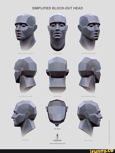 Found on iFunny Planes Of The Face, Head Anatomy, Facial Anatomy, Face Anatomy, Anatomy Sculpture, 얼굴 드로잉, 얼굴 그리기, Drawing Heads, Anatomy Poses