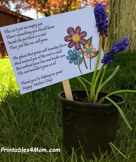 Mother's Day Empty Pot Gift Idea with Free Printable - Printables 4 Mom Mothers Day Flower Pot, Mothers Day Plants, Preschool Valentine Crafts, Children Day, Mother's Day Projects, Mothers Day Poems, Mother Poems, Children's Day Gift, Plant Gift