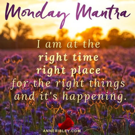 Spiritual Pics, Motivational Mondays, Monday Mantra, Monday Inspirational Quotes, Financial Calculators, Mantra Quotes, Zen Quotes, Monday Quotes, Louise Hay