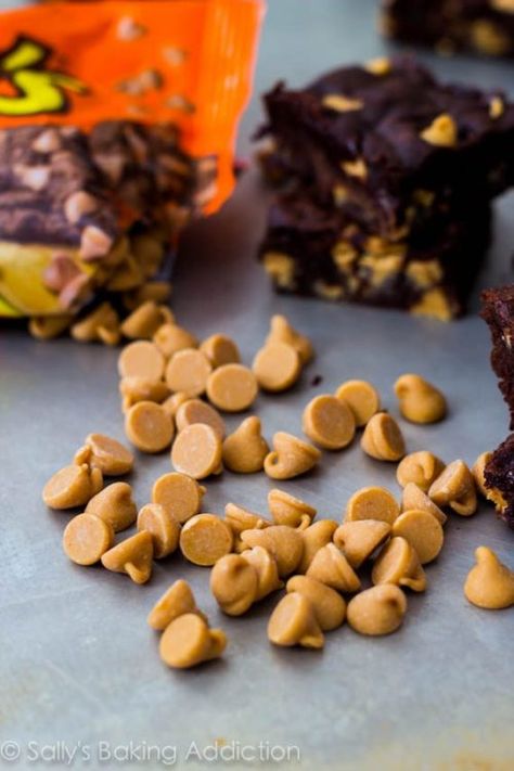 Peanut Butter Chip Brownies, Peanut Butter Chip Recipes, Homemade Fudge Brownies, Brownies With Peanut Butter, Foolproof Recipes, Sallys Baking, Chocolate Peanutbutter, Crumb Cake Recipe, Brownies Recipe Homemade