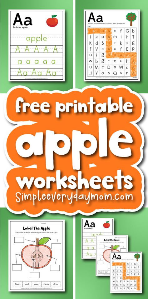 Free Printable Apple Worksheets For Kids Apple Science Preschool Free Printable, Free Apple Printables, Fun Fall Activities For Kids, Parts Of An Apple, Fall Activities For Kids, Fun Worksheets For Kids, Apple Activities, Teacher Templates, Kids Worksheets Printables