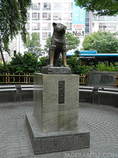 Statue of Hachiko outside Shibuya Station Hachiko Statue Shibuya, Hachiko Dog, Hachiko Statue, Shibuya Station, Space Art Projects, Japanese Akita, Dog Wound, House Training Puppies, Crate Training Puppy