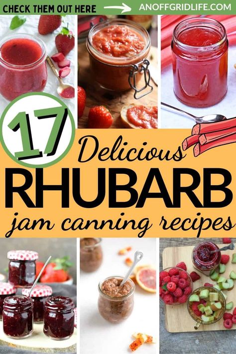 Rhubarb Jam Canning Recipes to Stock Your Pantry - An Off Grid Life Jam Canning Recipes, Rhubarb Canning Recipes, Jam For Canning, Rhubarb Ideas, Raspberry Rhubarb Jam, Blueberry Rhubarb Jam, Rhubarb Freezer Jam, Farmhouse Food, Rhubarb Jelly