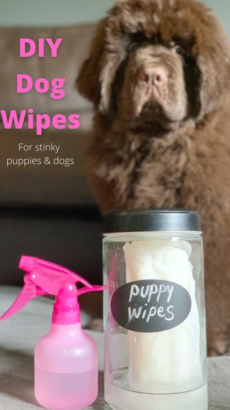 These DIY dog wipes are perfect to use between baths for stinky puppies or dogs and if you have a Newfie puppy that likes to play in the water, the distilled white vinegar or apple cider vinegar will help keep the sour mildew smell at bay. Diy Puppy Shampoo, Diy Pet Wipes Dogs, Dog Paw Cleaner Diy, Dog Wipes Diy How To Make, Diy Dog Cologne, Diy Dog Wipes Cleaning, Diy Dog Wipes, Smelly Dog Remedies, Stinky Dog Remedy