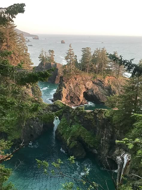 Natural Bridges Oregon off 101 north of Brookings [OC] [3024x4032]  Click the link for this photo in Original Resolution.  If you have Twitter follow twitter.com/lifeporn5 for more cool photos.  Thank you author: https://bit.ly/2U2bHsO  Broadcasted to you on Pinterest by pinterest.com/sasha_limm  Have The Nice Life! Oregon Trip, Background References, Adventure Aesthetic, Natural Bridge, Pretty Landscapes, Oregon Travel, Tropical Summer, Tree Hugger, Gap Year