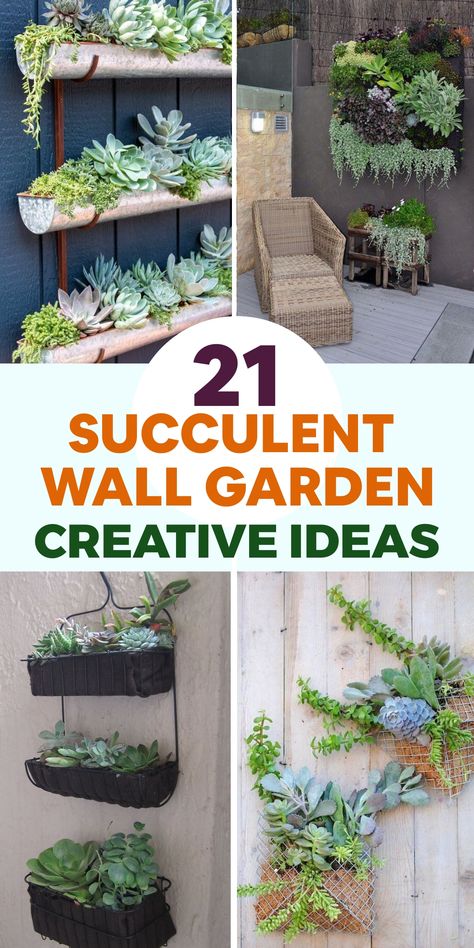 Enhance your outdoor area with inspiring succulent wall garden concepts that introduce a hint of nature and elegance to your walls. Explore innovative methods like vertical planters and hanging succulent arrangements to exhibit these easy-to-care-for plants in your outdoor retreat. Turn any dull wall into a thriving masterpiece using chic and efficient succulent garden layouts, bringing a contemporary and organic feel to your exterior space. Wall Garden Ideas, Vertical Garden Wall Planter, Wall Planters Outdoor, Living Wall Planter, Succulent Wall Garden, Diy Wall Planter, Succulent Wall Planter, Vertical Succulent Gardens, Garden Layouts