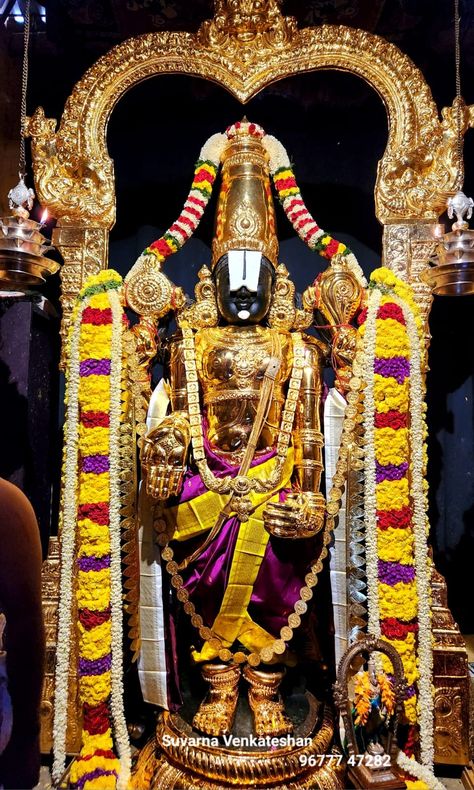 Vekateswa Swamy, Govinda God, God Balaji Hd Wallpapers, Balaji Photo, Venkateswara Swamy Images Hd 1080 Wallpaper, Venkateshwara Swamy, Nice Good Morning Images, Tirupati Balaji, Sai Baba Hd Wallpaper