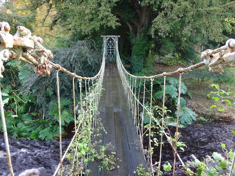 Birr Castle Ireland, Birr Castle, Canadian Identity, Castle Ireland, Scottish People, Ireland Homes, Visit Scotland, 2023 Vision, Irish Heritage