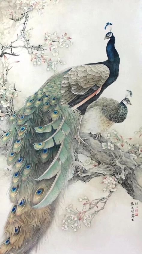 Peacock Drawing, Peacock Wall Art, Chinese Art Painting, Peacock Painting, Peacock Art, The Peacock, Japanese Painting, Arte Animal, Beginner Painting