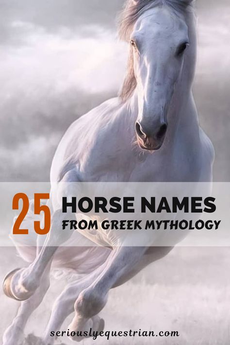 Here is a list of some of our favourite names from Greek Mythology for Horses. #horses #horsenames #seriousequestrian #equestrianlifestyle Horse Names List, Cute Horse Names, Names For Horses, Unique Horse Names, Writing Fantasy Novel, Goat Names, Horse Show Names, Horses Names, Best Horse Names